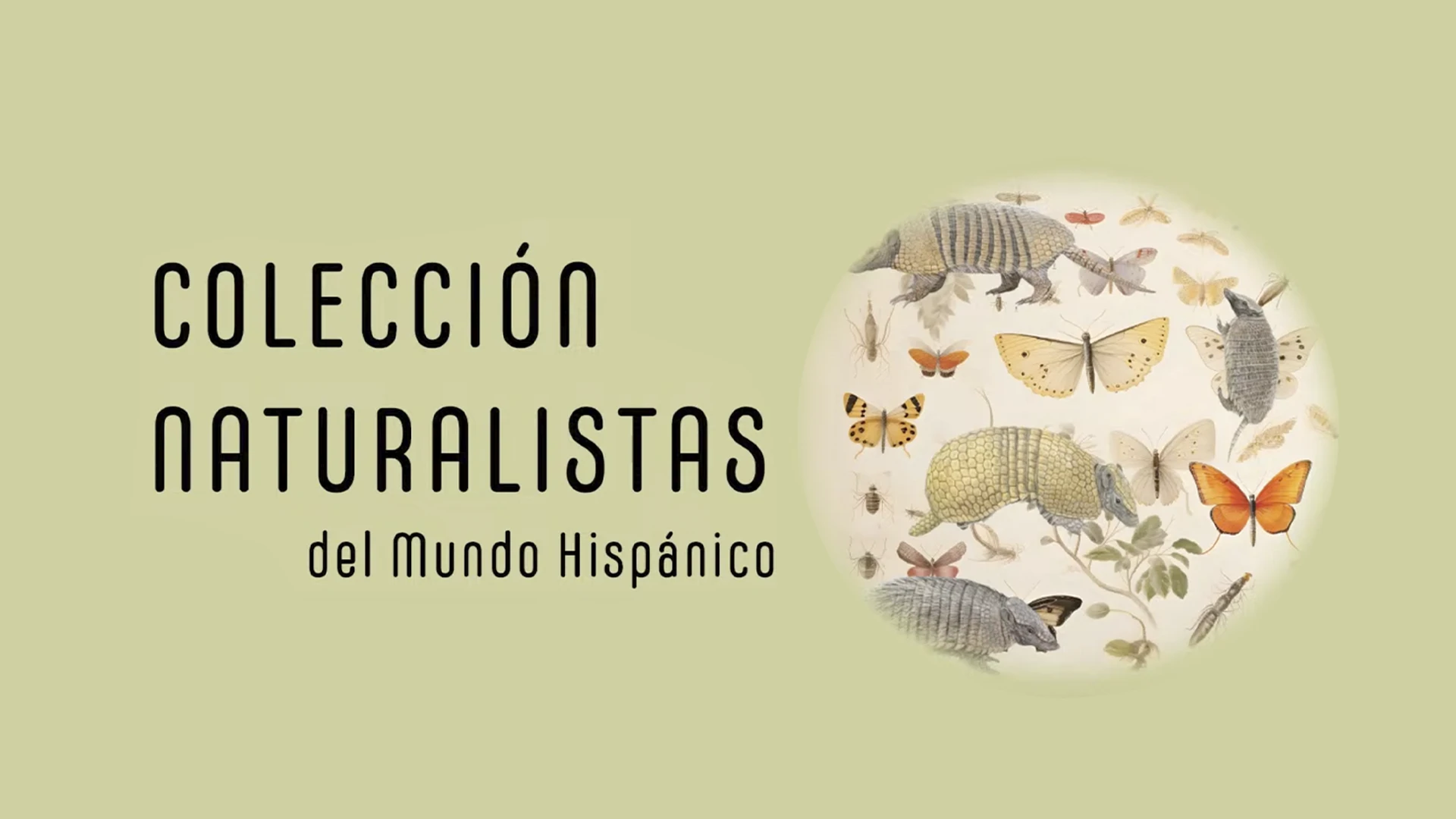 fundacion sicomoro presentacion coleccion naturalistas del mundo hispanico