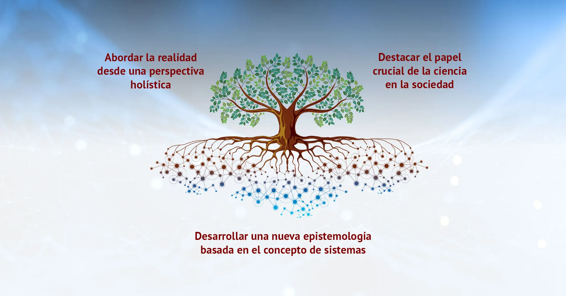 arbol-vision-fundacion-sicomoro